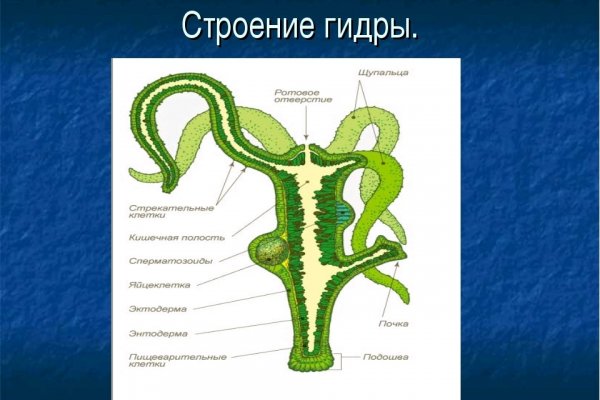 Гашиш меф шишки бошки купить в москве