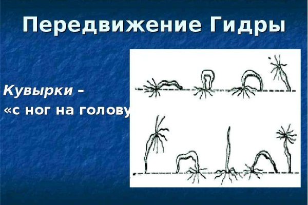 Kraken дарк магазин